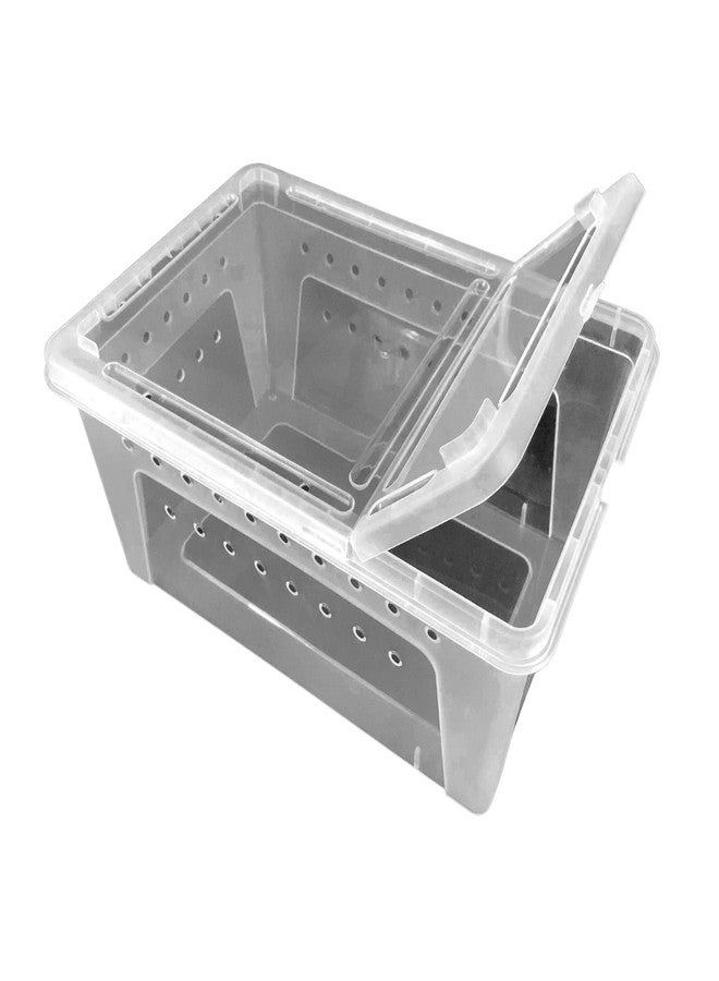 Jungle Bob - Clear Plastic Reptile Terrarium Box - Easy Pet Transportation - Enclosure for Small Herps - Side Ventilation - Clear View - Fade Resistant - Glossy Finish - Large - 12.5" x 8.5" x 6"
